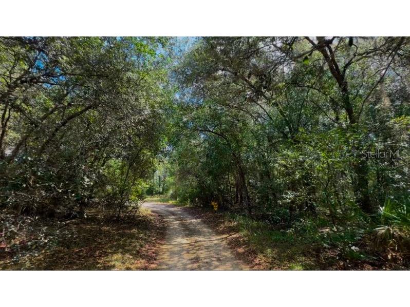 3476 N Iguana Path Crystal River FL 34428 TB8518747 image9