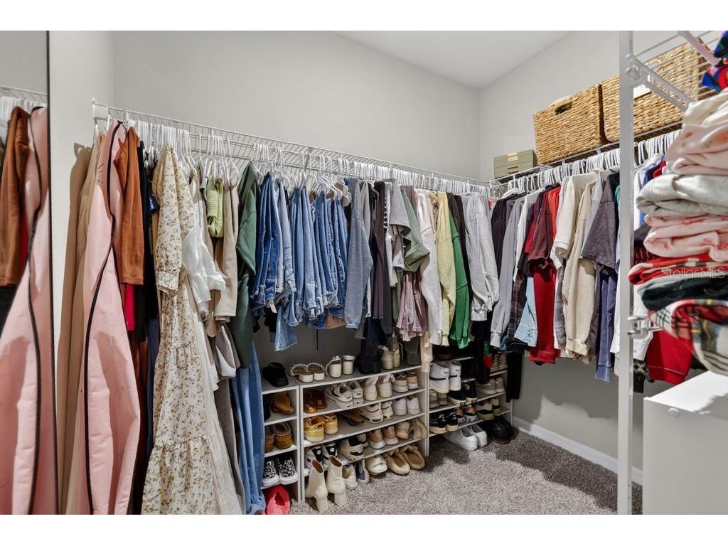 34763 Telluride Lane Zephyrhills FL 33541 TB8481809 image18