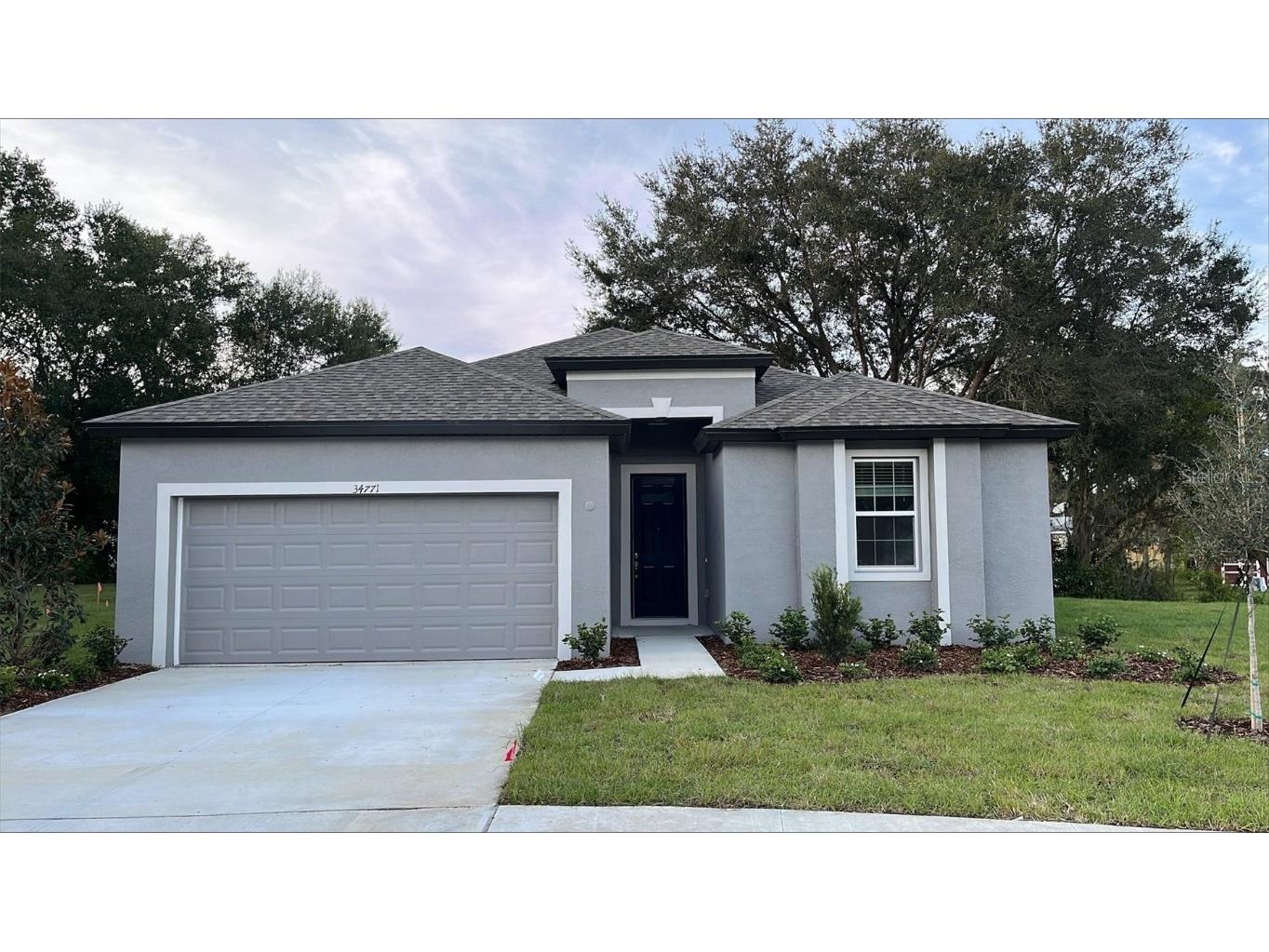 34771 Mulrion Drive Zephyrhills FL 33541 T3471438 image1