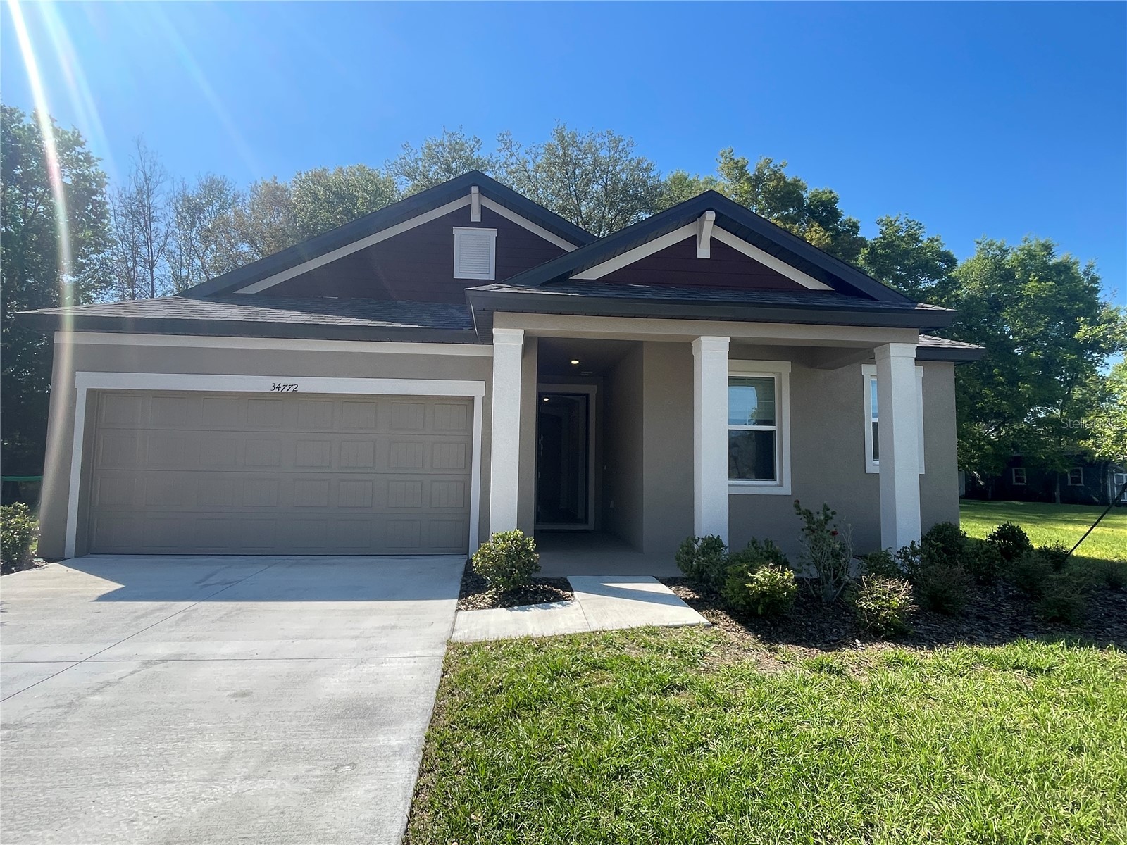 34772 Mulrion Drive Zephyrhills FL 33541 S5146288 image1