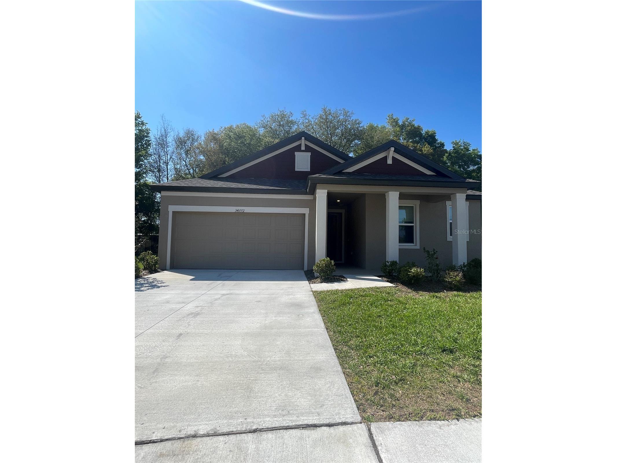 34772 Mulrion Drive Zephyrhills FL 33541 S5146288 image16