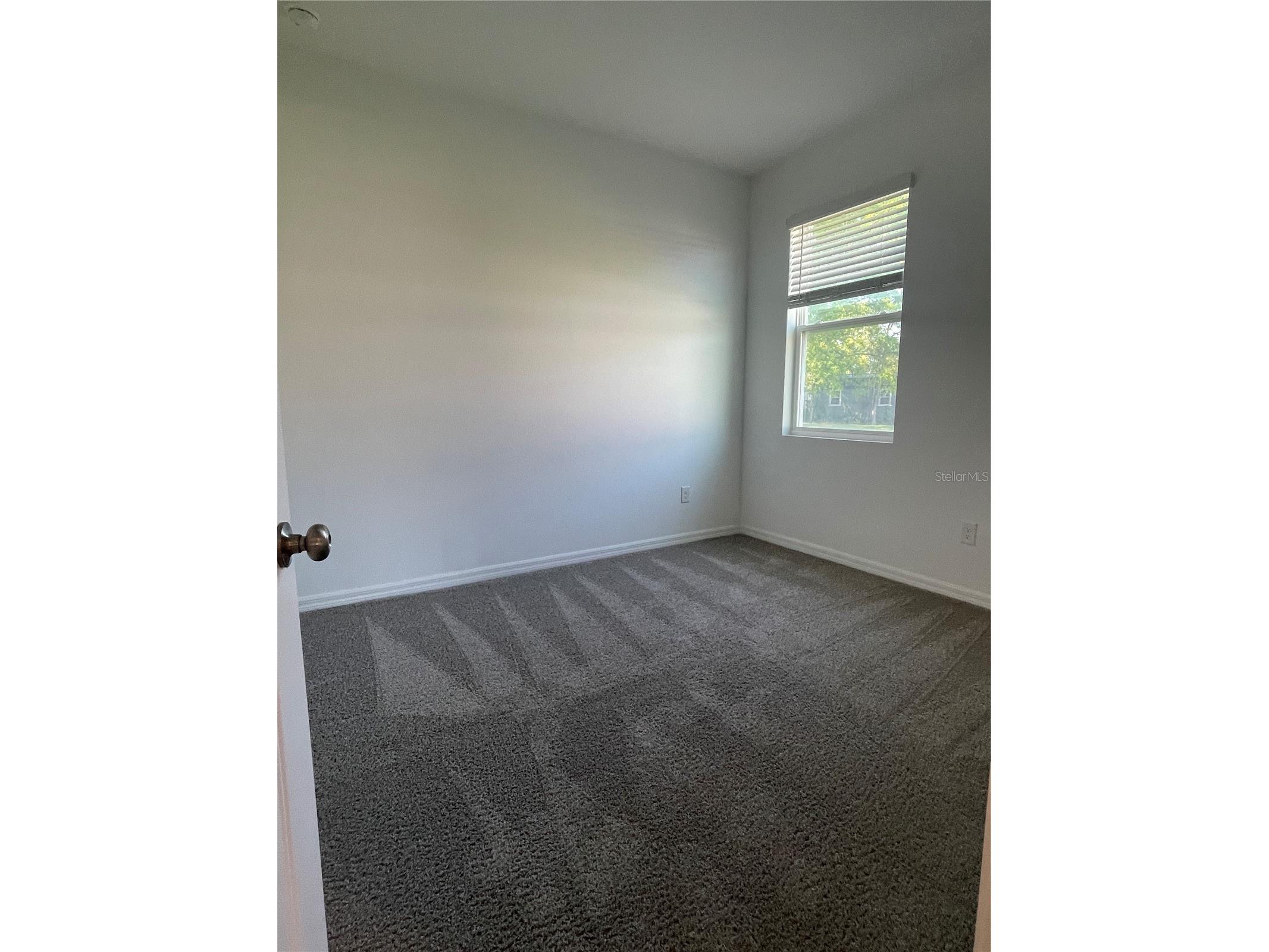 34772 Mulrion Drive Zephyrhills FL 33541 S5146288 image21