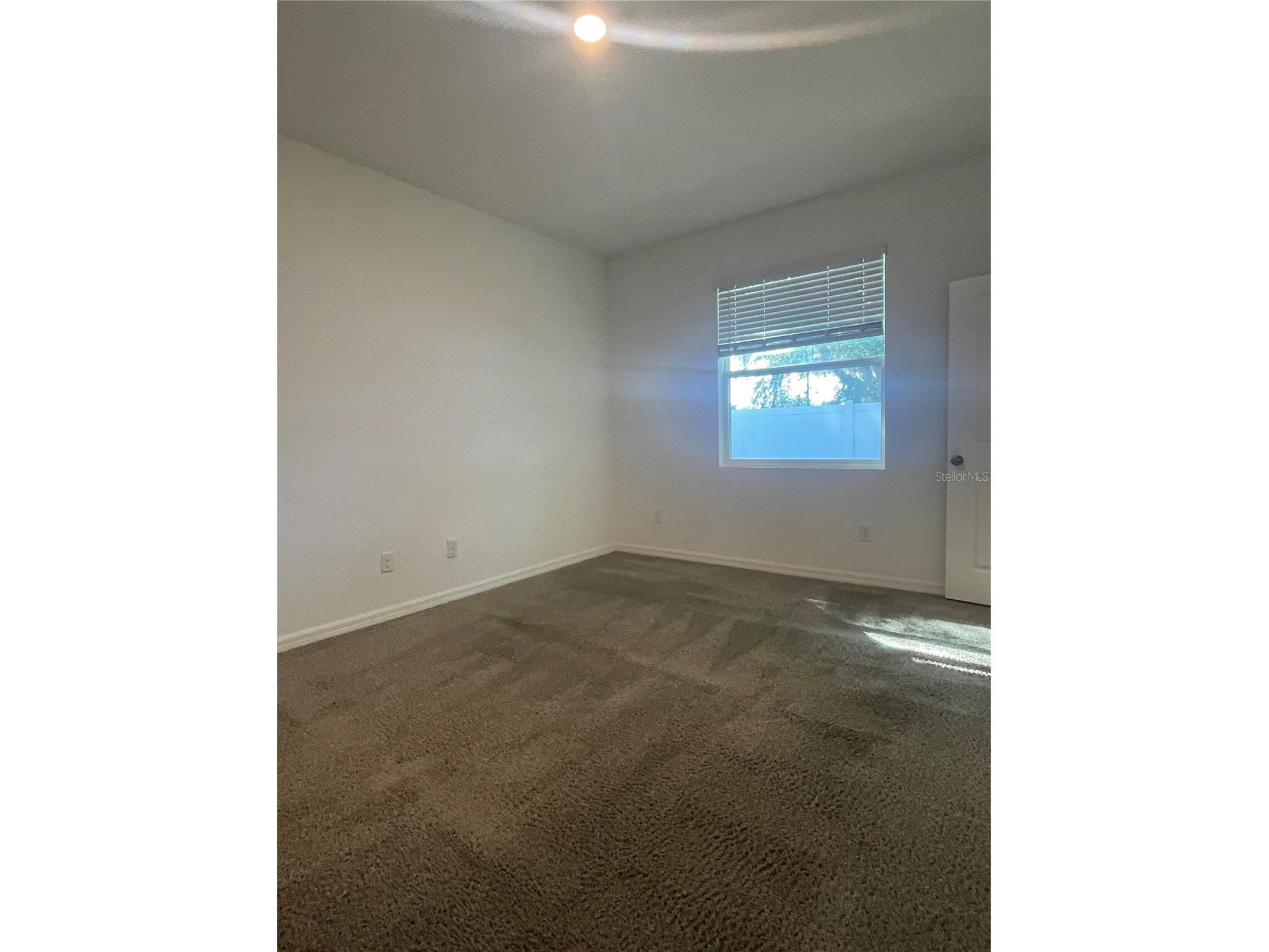 34772 Mulrion Drive Zephyrhills FL 33541 S5146288 image7