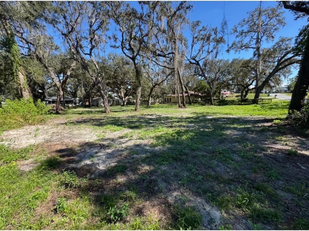 34779 Hibiscus Drive Dade City FL 33523 L4958035 image1