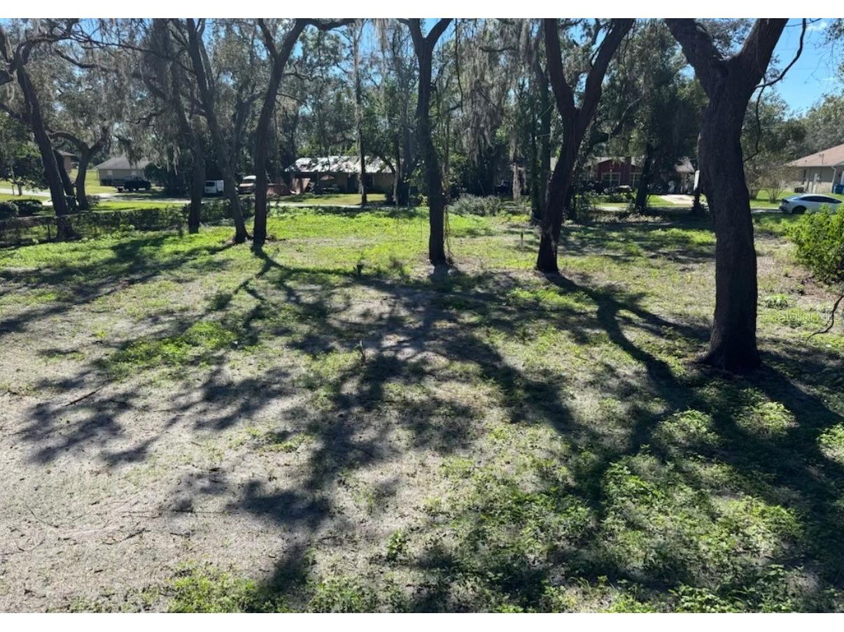 34779 Hibiscus Drive Dade City FL 33523 L4958035 image2