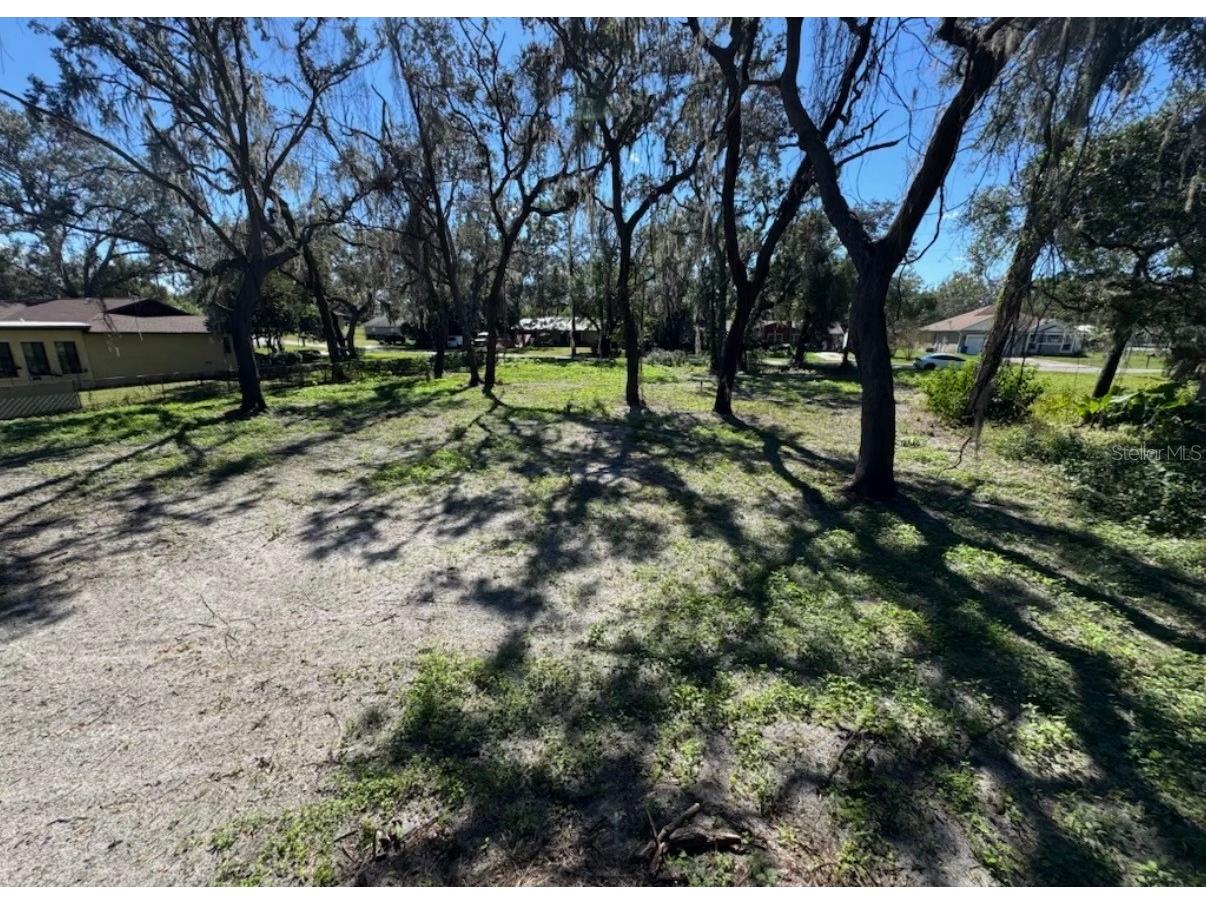 34779 Hibiscus Drive Dade City FL 33523 L4958035 image3
