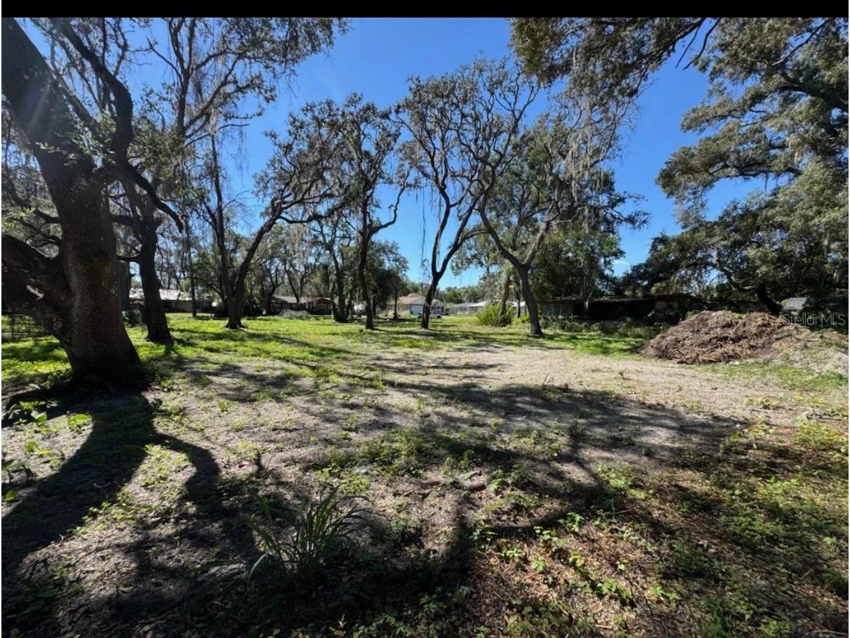 34779 Hibiscus Drive Dade City FL 33523 L4958035 image4