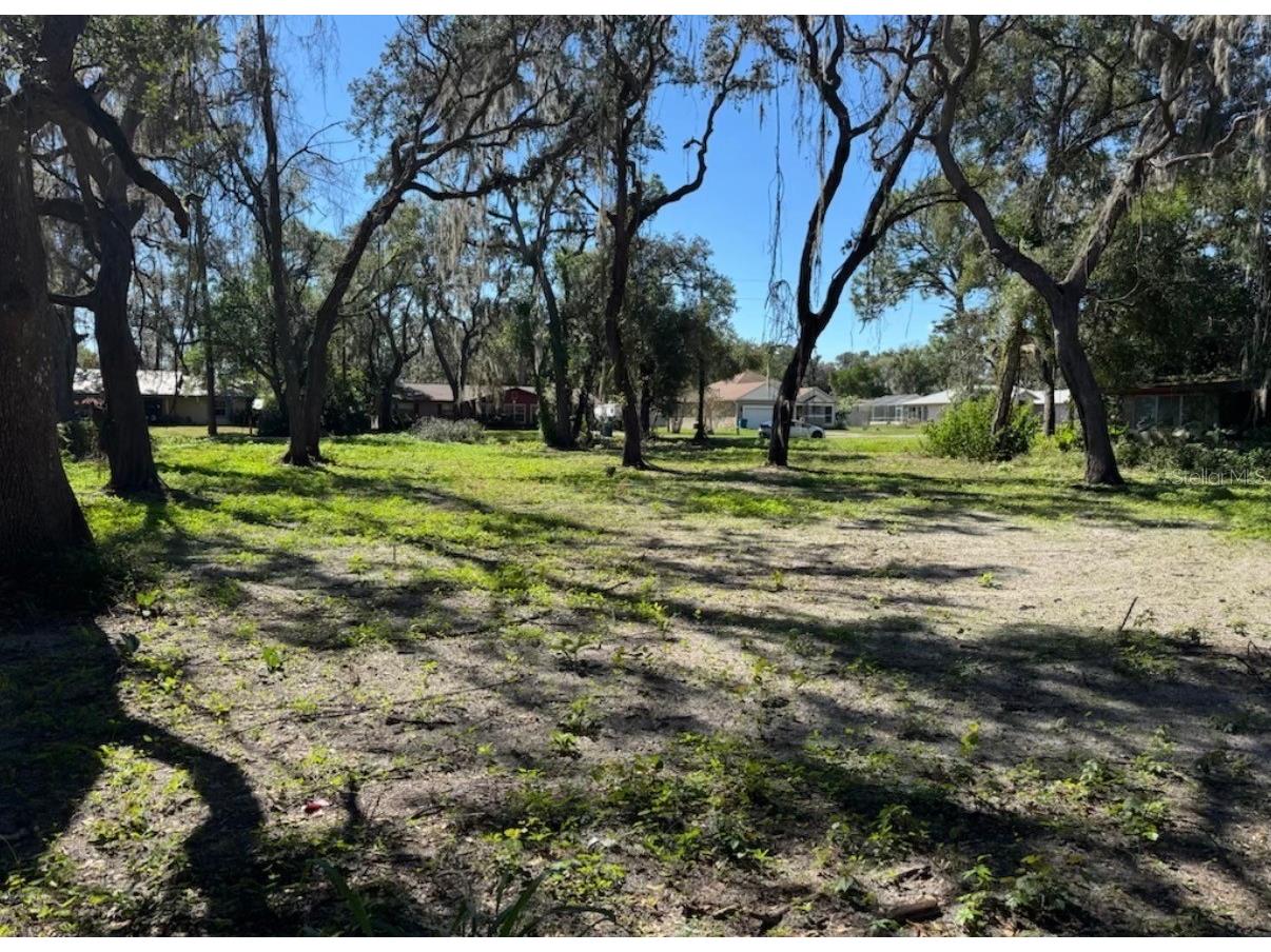 34779 Hibiscus Drive Dade City FL 33523 L4958035 image5