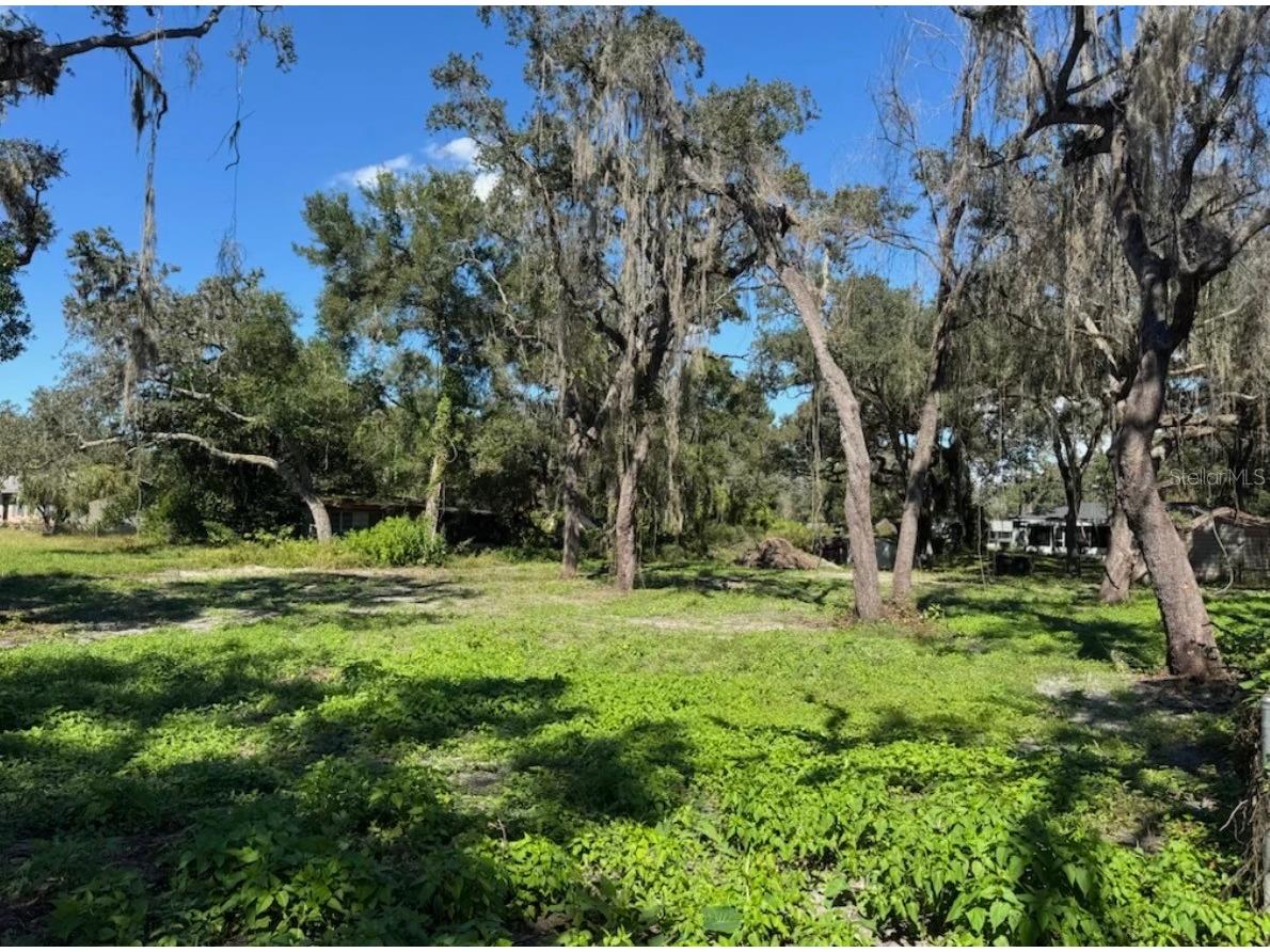 34779 Hibiscus Drive Dade City FL 33523 L4958035 image6