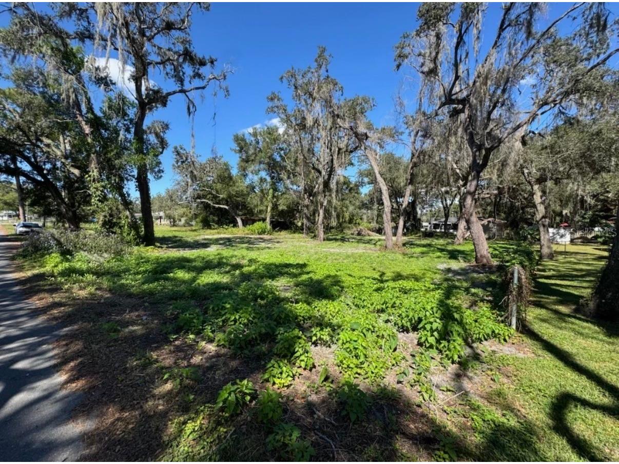 34779 Hibiscus Drive Dade City FL 33523 L4958035 image7