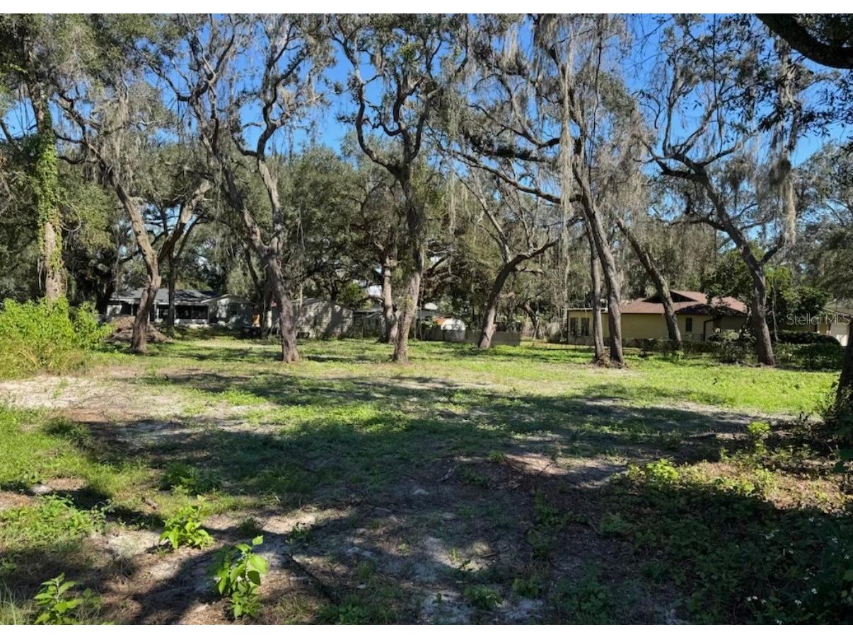34779 Hibiscus Drive Dade City FL 33523 L4958035 image8