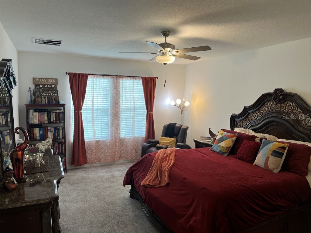 34780 Rainville Loop Zephyrhills FL 33541 TB8376856 image14