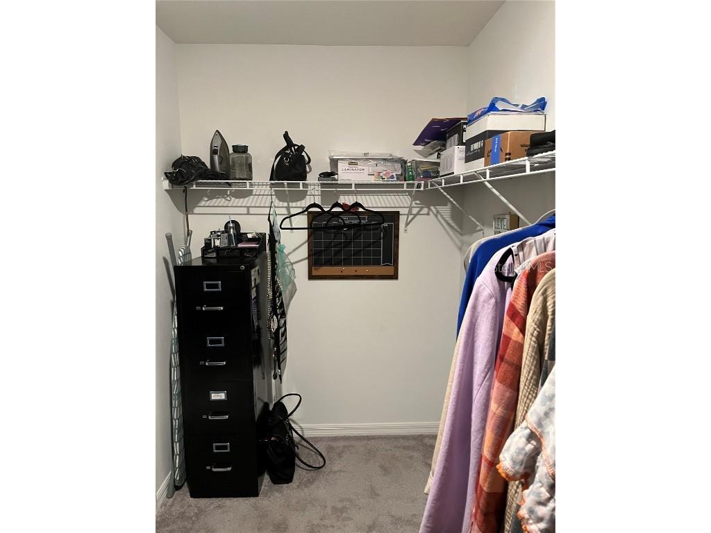 34780 Rainville Loop Zephyrhills FL 33541 TB8376856 image18