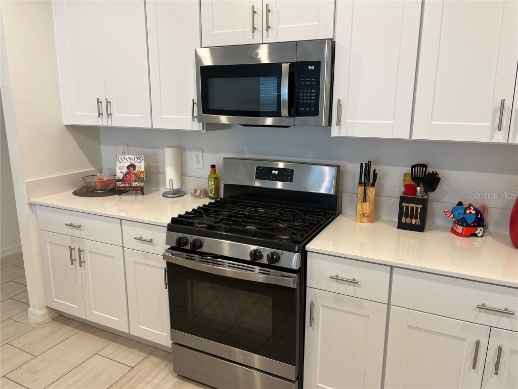 34780 Rainville Loop Zephyrhills FL 33541 TB8376856 image19