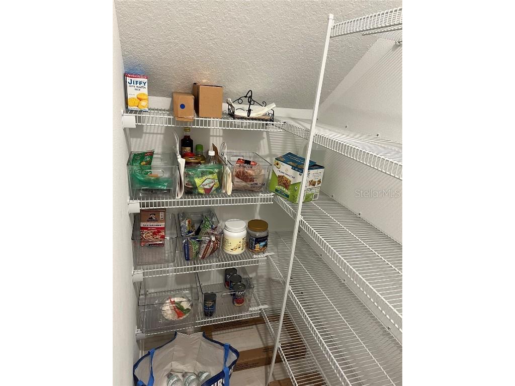 34780 Rainville Loop Zephyrhills FL 33541 TB8376856 image21