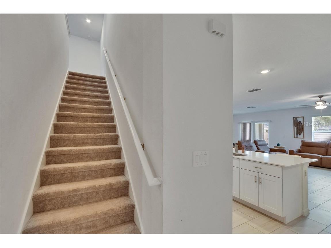 34780 Rainville Loop Zephyrhills FL 33541 TB8376856 image24