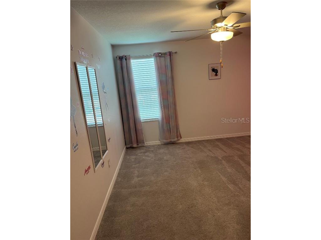 34780 Rainville Loop Zephyrhills FL 33541 TB8376856 image33