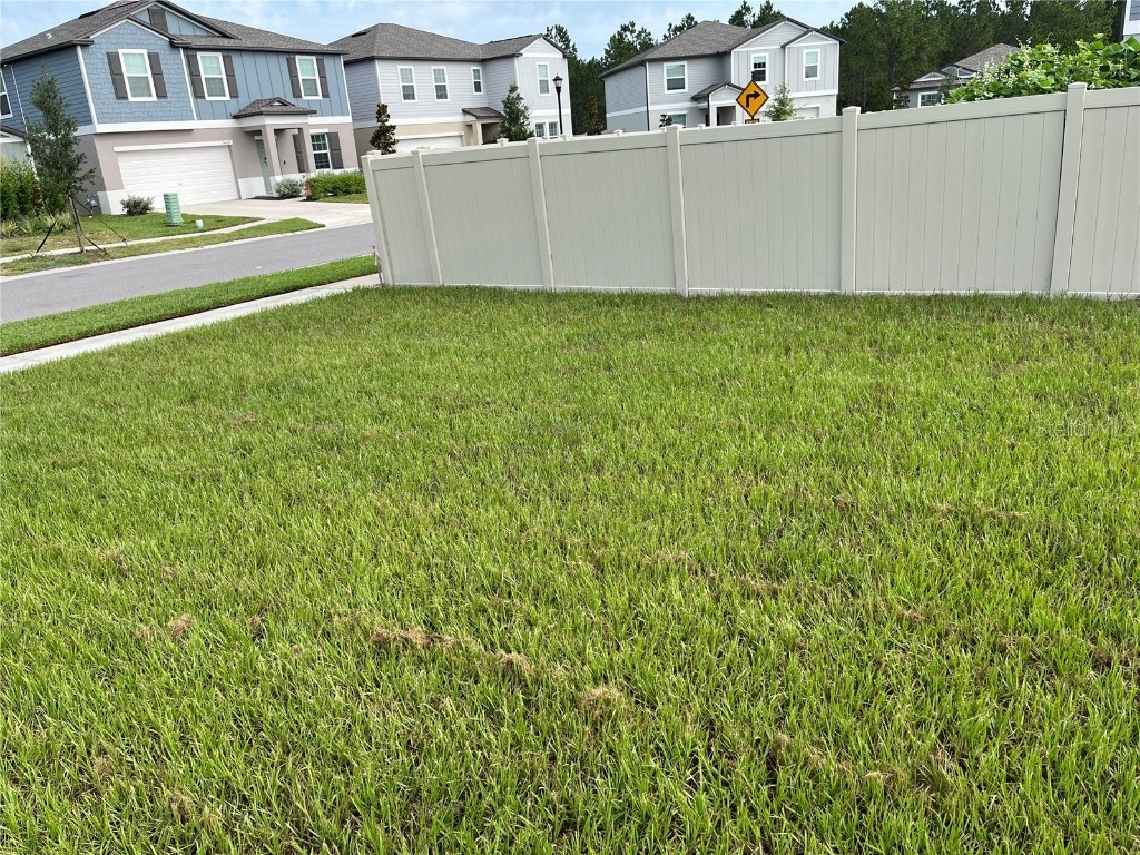 34780 Rainville Loop Zephyrhills FL 33541 TB8376856 image36