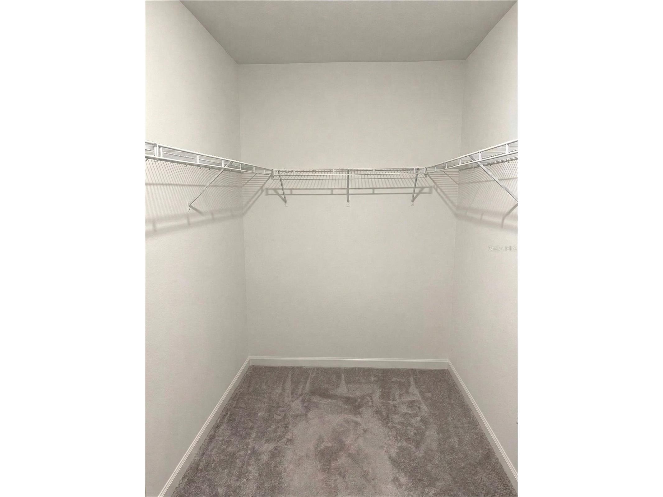 34780 Rainville Loop Zephyrhills FL 33541 TB8491781 image17