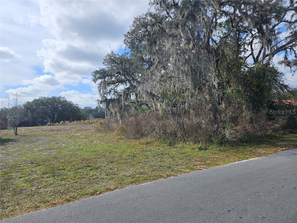 34794 Orchid Parkway Dade City FL 33523 TB8457162 image2