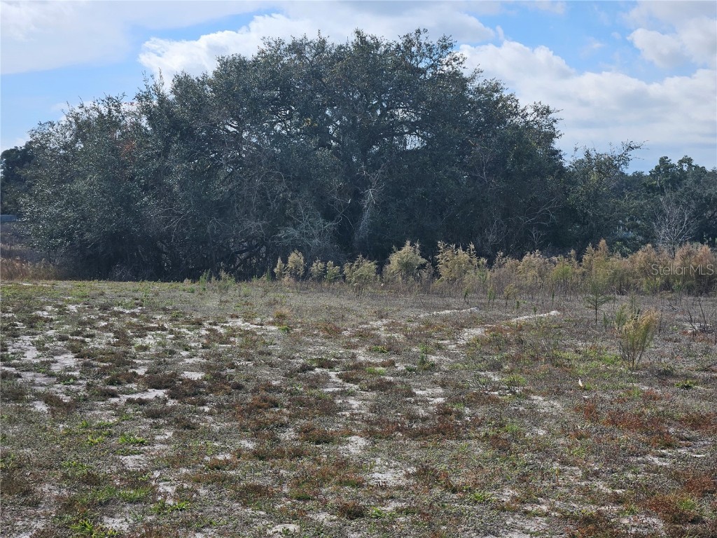 34794 Orchid Parkway Dade City FL 33523 TB8457162 image3