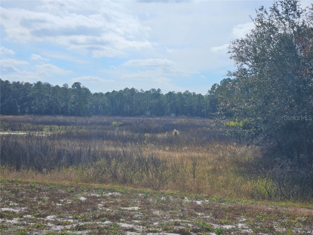 34794 Orchid Parkway Dade City FL 33523 TB8457162 image4