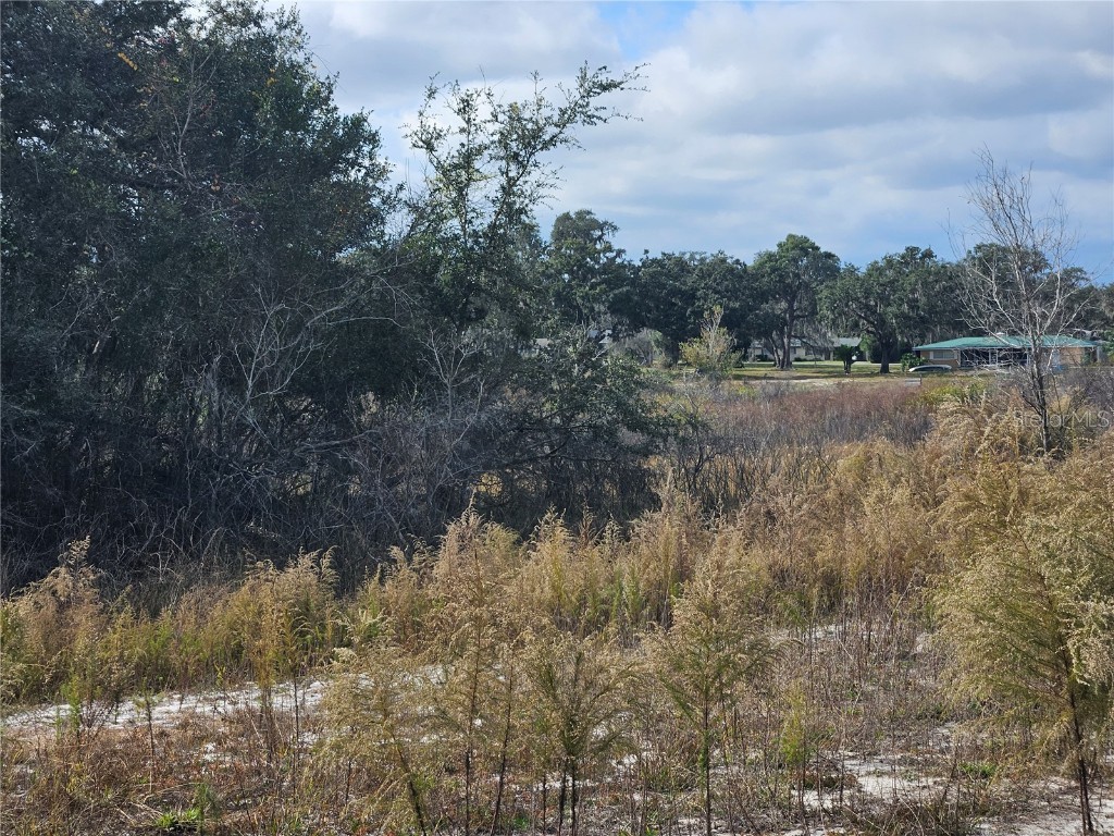 34794 Orchid Parkway Dade City FL 33523 TB8457162 image5