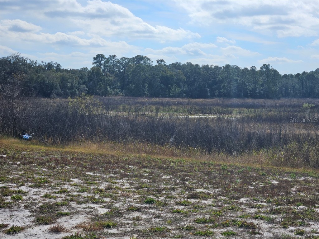 34794 Orchid Parkway Dade City FL 33523 TB8457162 image6