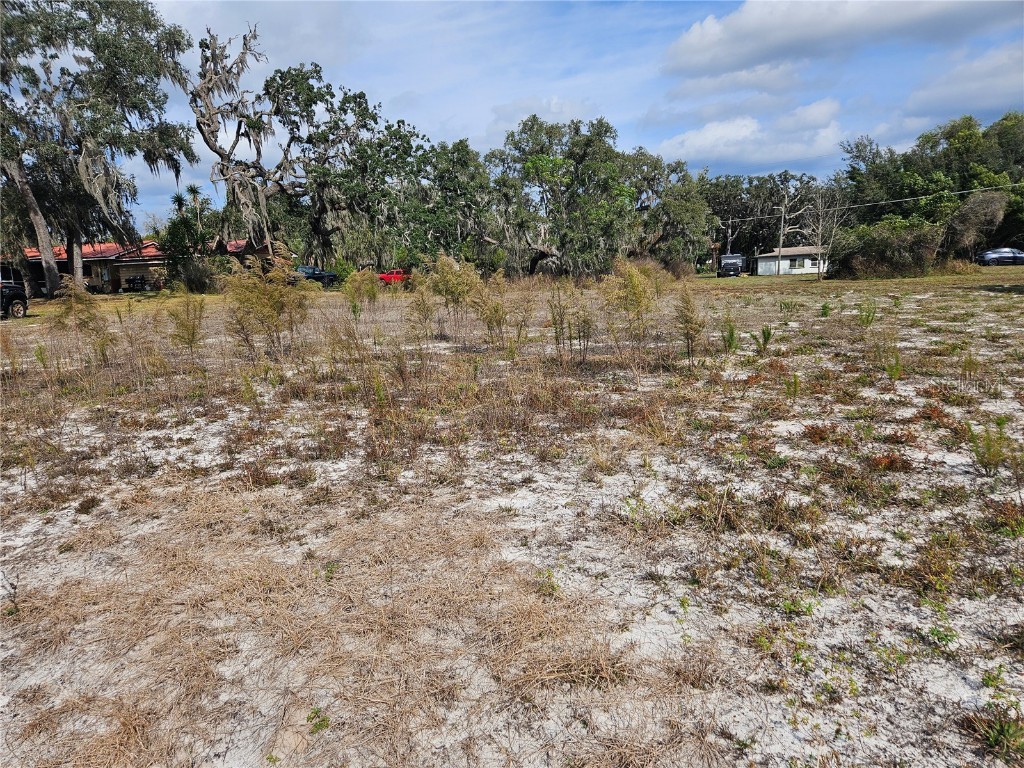 34794 Orchid Parkway Dade City FL 33523 TB8457162 image8