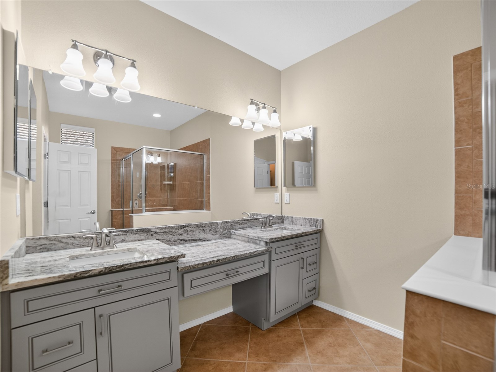 348 Cedar Falls Drive Apollo Beach FL 33572 TB8460430 image14