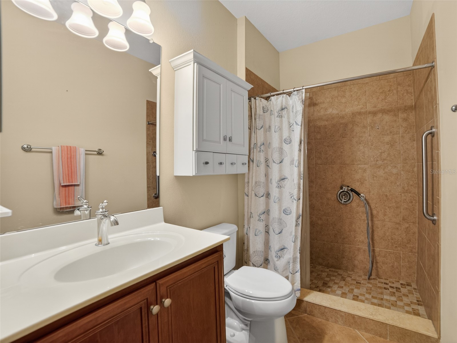 348 Cedar Falls Drive Apollo Beach FL 33572 TB8460430 image18