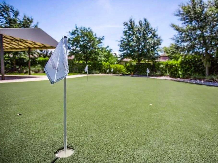 348 Cedar Falls Drive Apollo Beach FL 33572 TB8460430 image26