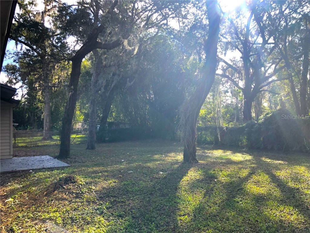 348 E Palmetto Avenue Longwood FL 32750 O6325101 image10