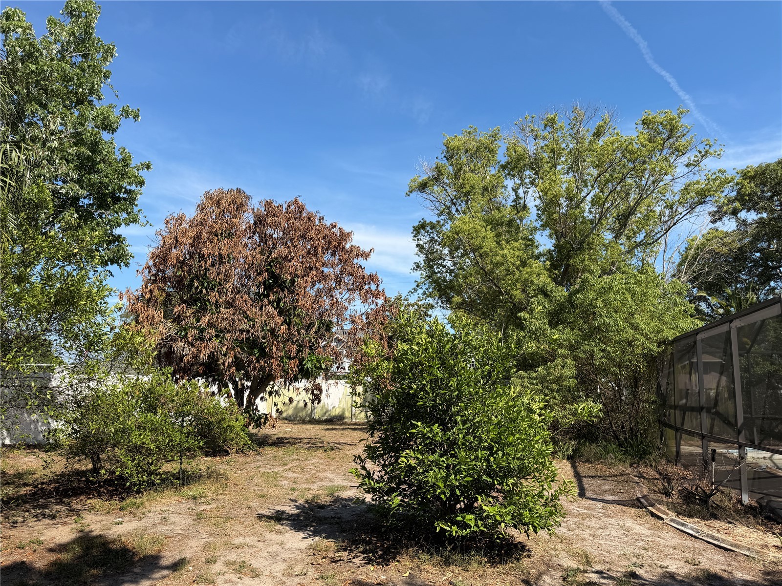 348 Hampshire Avenue Spring Hill FL 34606 W7885625 image34