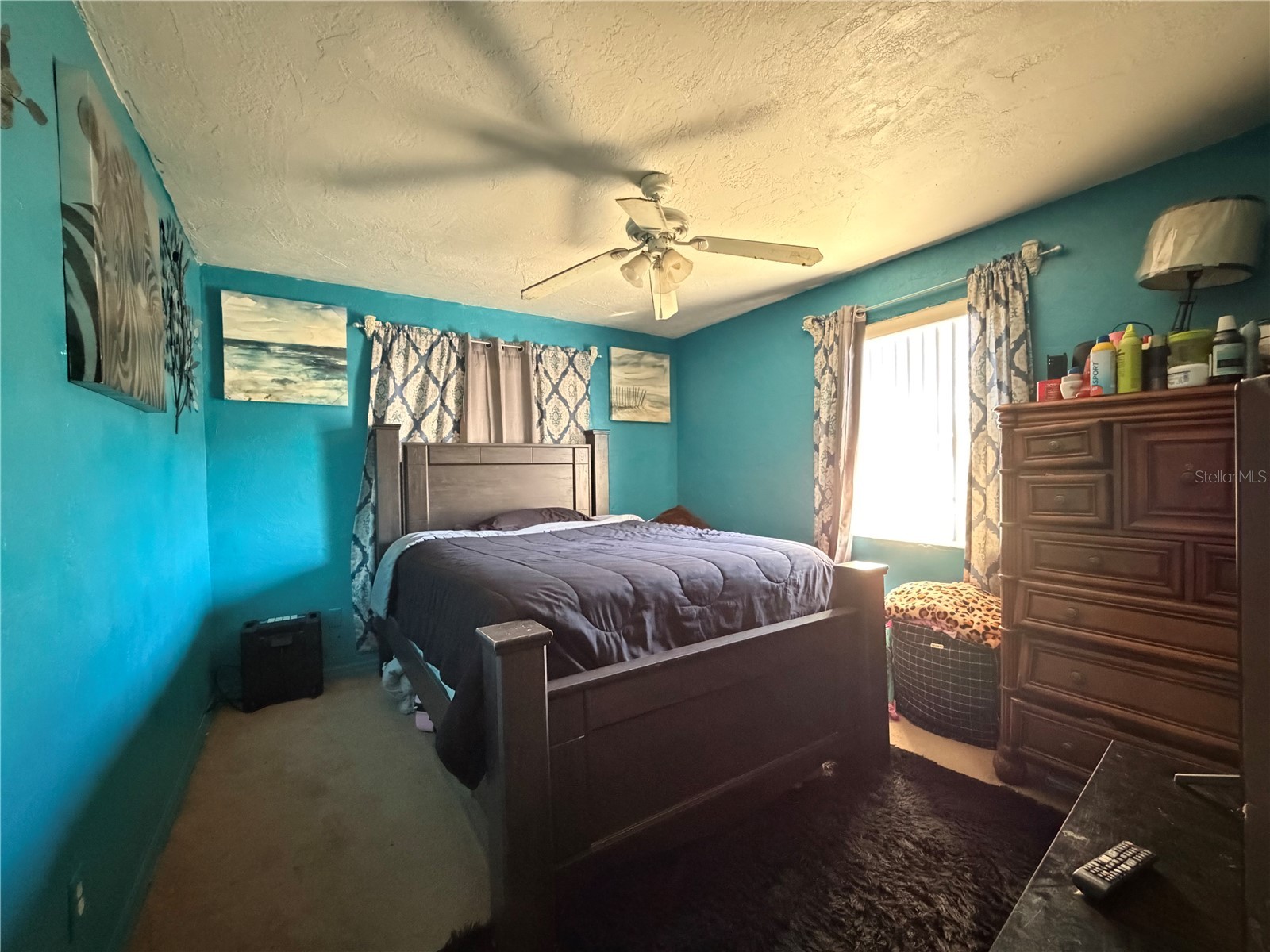 348 Pleasant Street Daytona Beach FL 32114 V4947140 image9