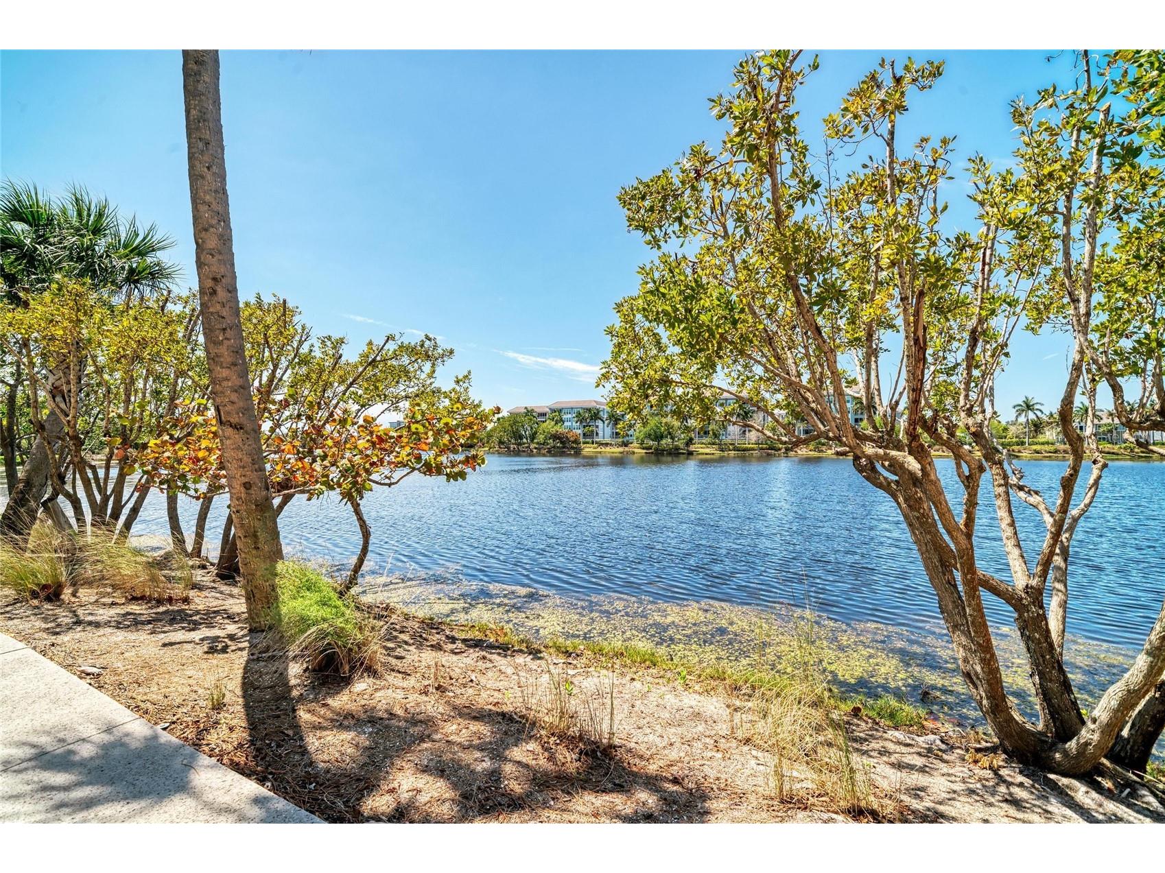 348 Sapphire Lake Drive #101 Bradenton FL 34209 - SAPPHIRE LAKE A4687605 image51