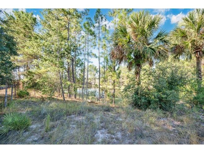 348 Summerville Lane Sanford FL 32771 O6352990 image31