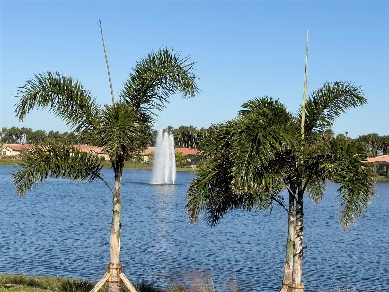 348 Villoresi Boulevard Nokomis FL 34275 A4678541 image24