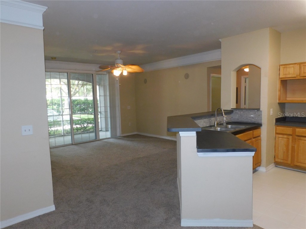 3480 Soho Street #101 Orlando FL 32835 O6365407 image5