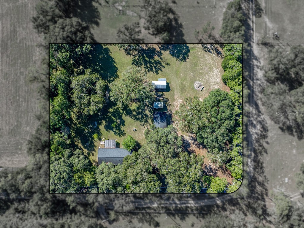 34800 Orange Belt Drive Dade City FL 33523 TB8444775 image3