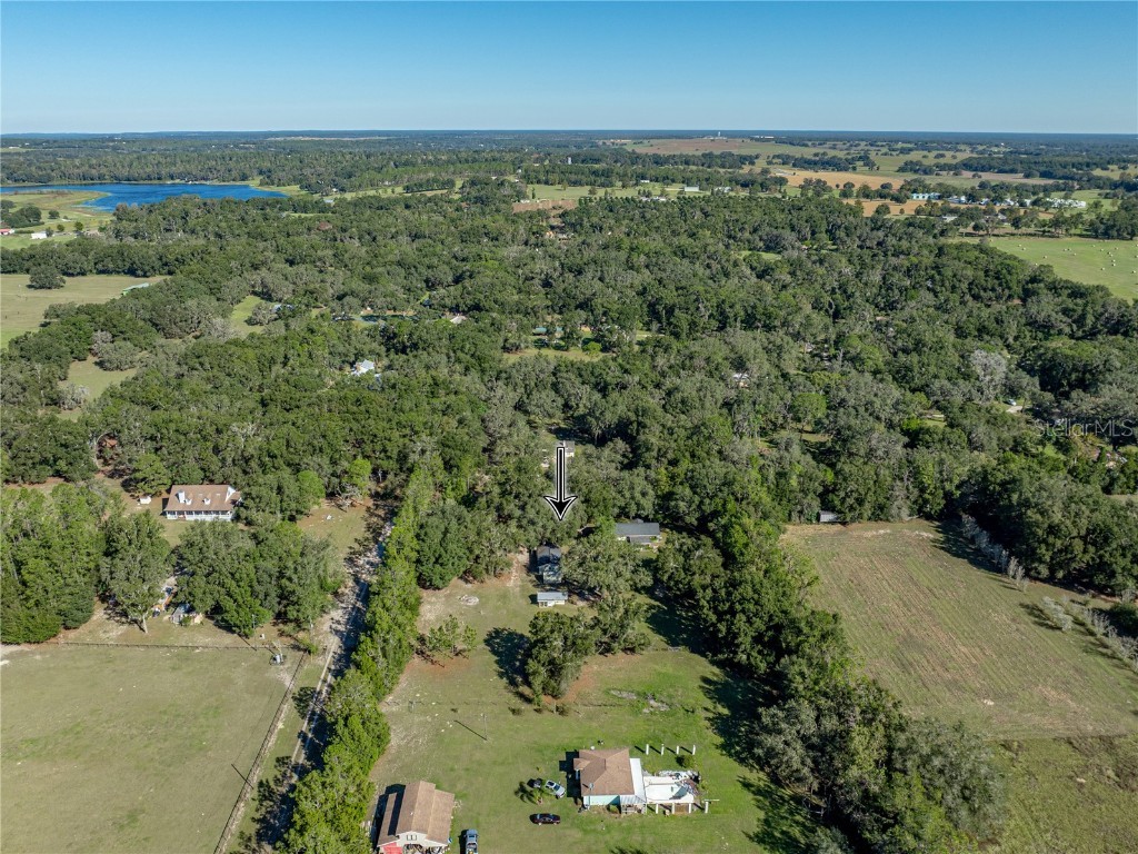 34800 Orange Belt Drive Dade City FL 33523 TB8444775 image5