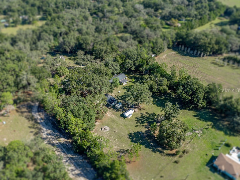 34800 Orange Belt Drive Dade City FL 33523 TB8444775 image6