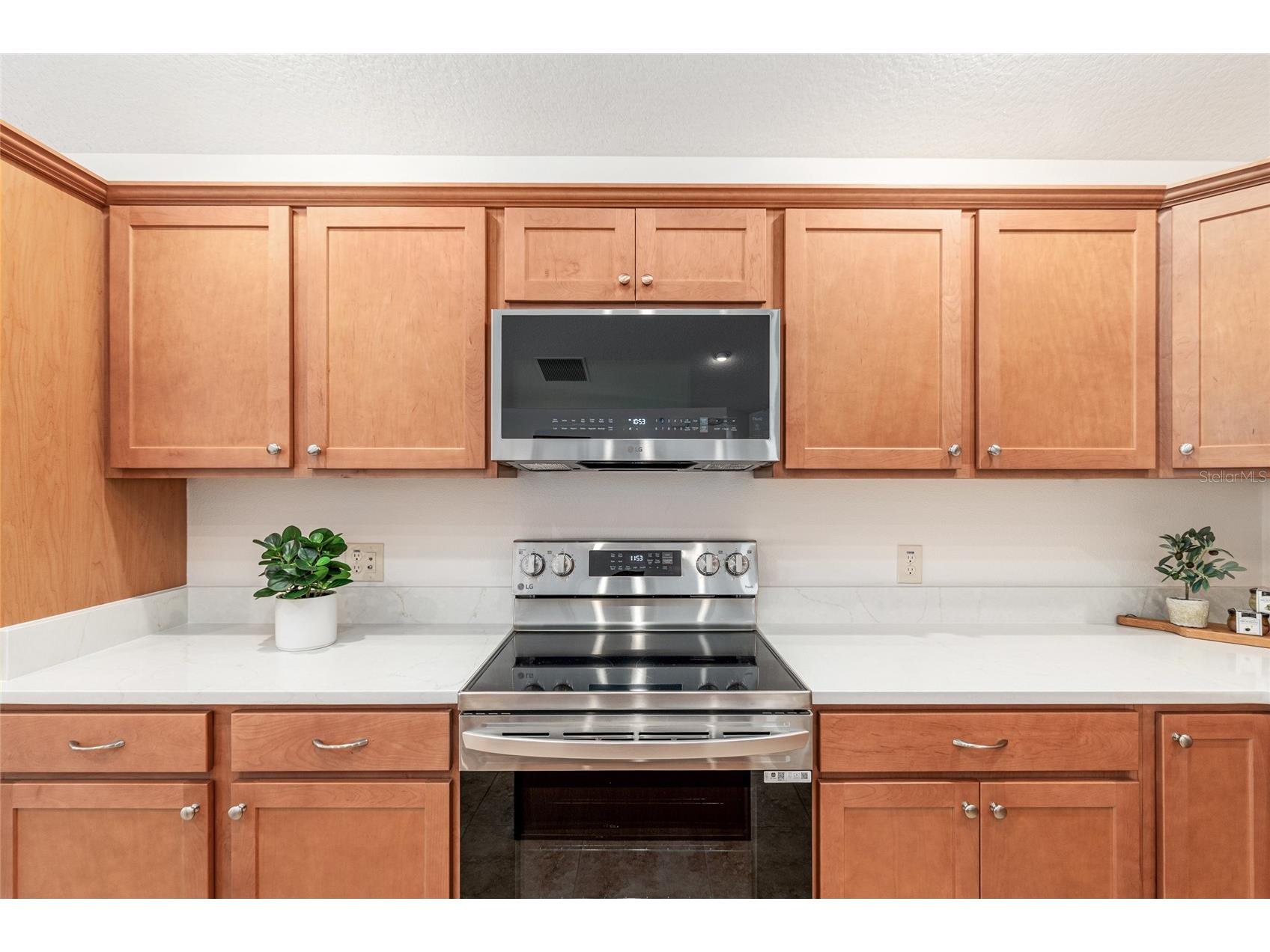 3481 Leelanau Court The Villages FL 32163 OM724770 image10
