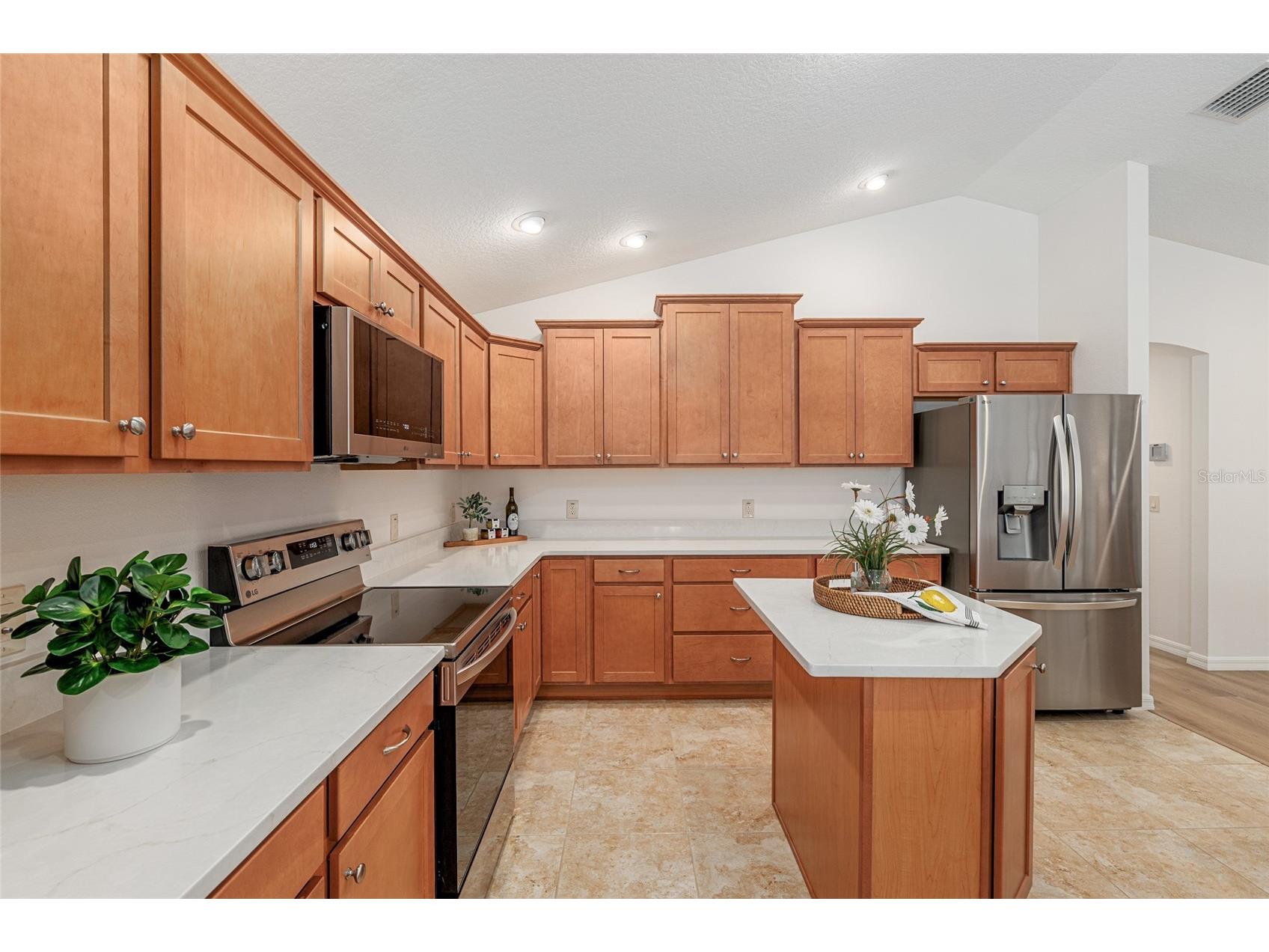 3481 Leelanau Court The Villages FL 32163 OM724770 image12