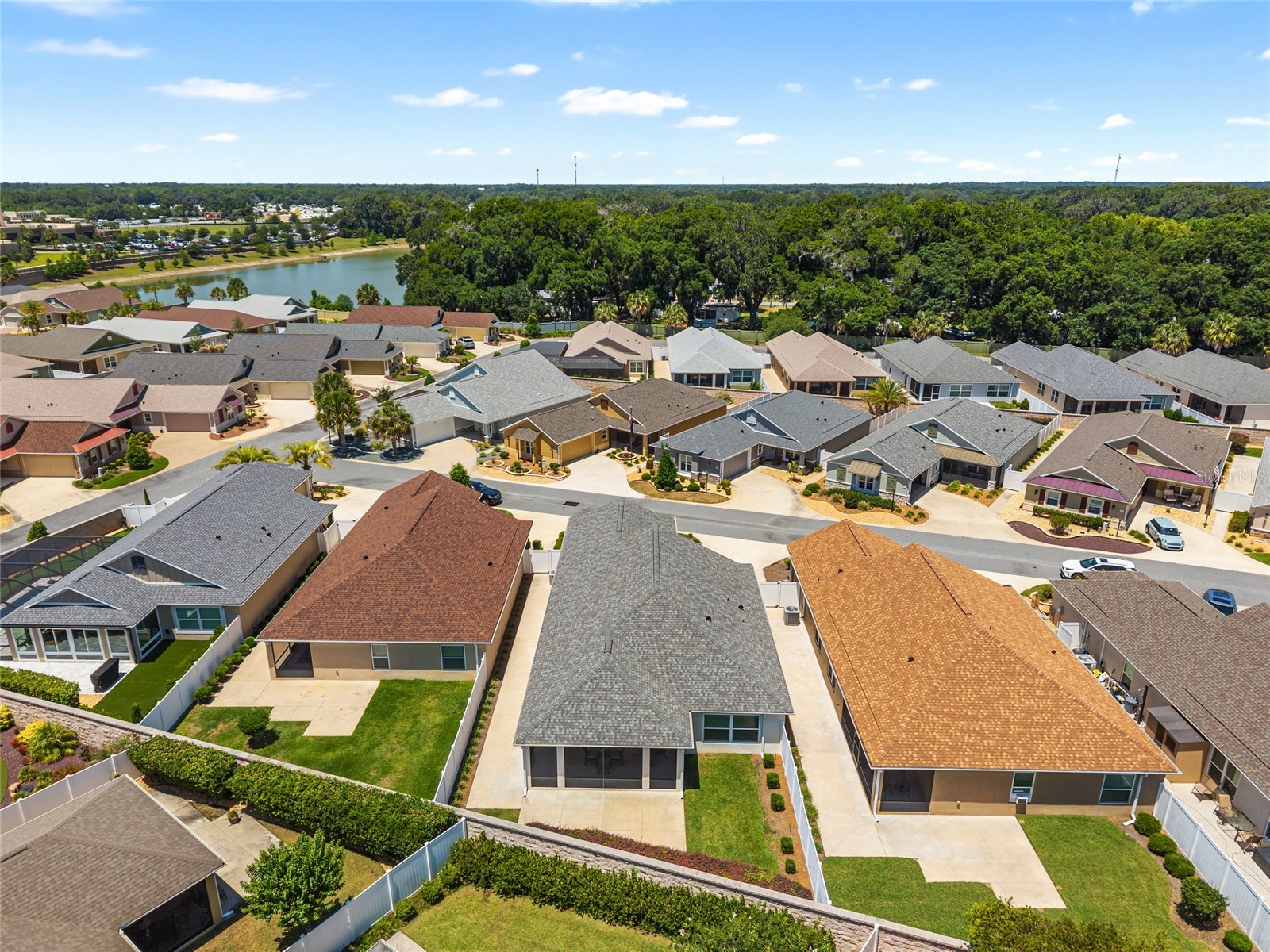 3481 Leelanau Court The Villages FL 32163 OM724770 image61