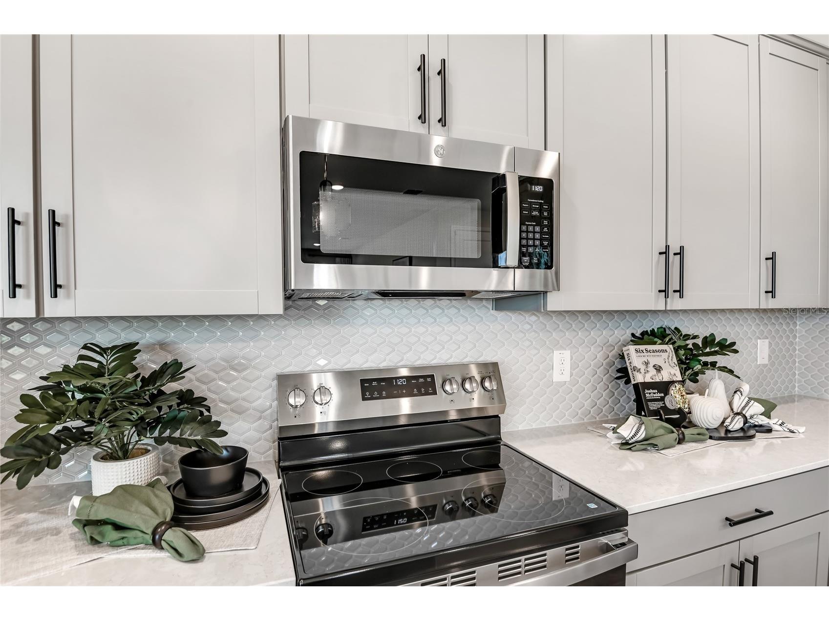 3481 Macchi Avenue Tavares FL 32778 S5146160 image4