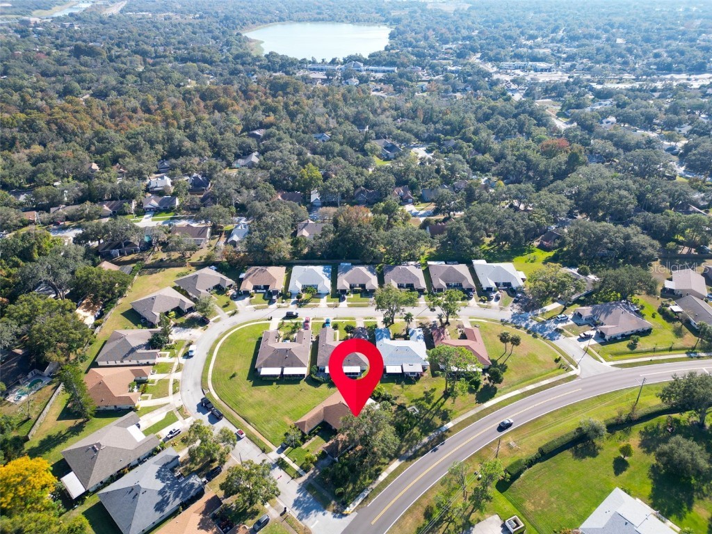 3481 Maclaren Drive Palm Harbor FL 34684 - LAKE TARPON TB8450327 image3