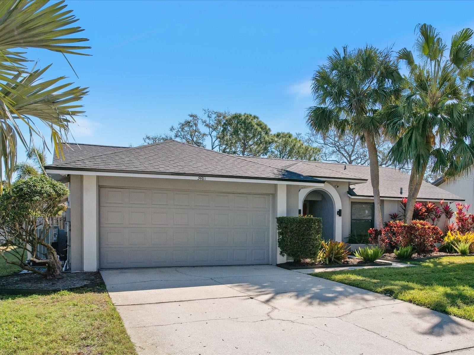 3481 Northridge Drive Clearwater FL 33761 TB8476038 image1