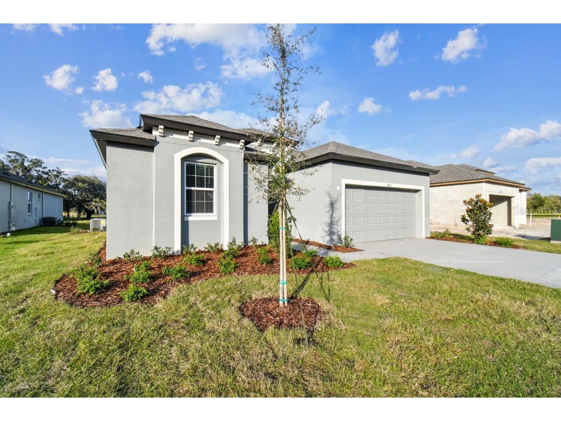 34815 Mulrion Drive Zephyrhills FL 33541 T3493470 image1