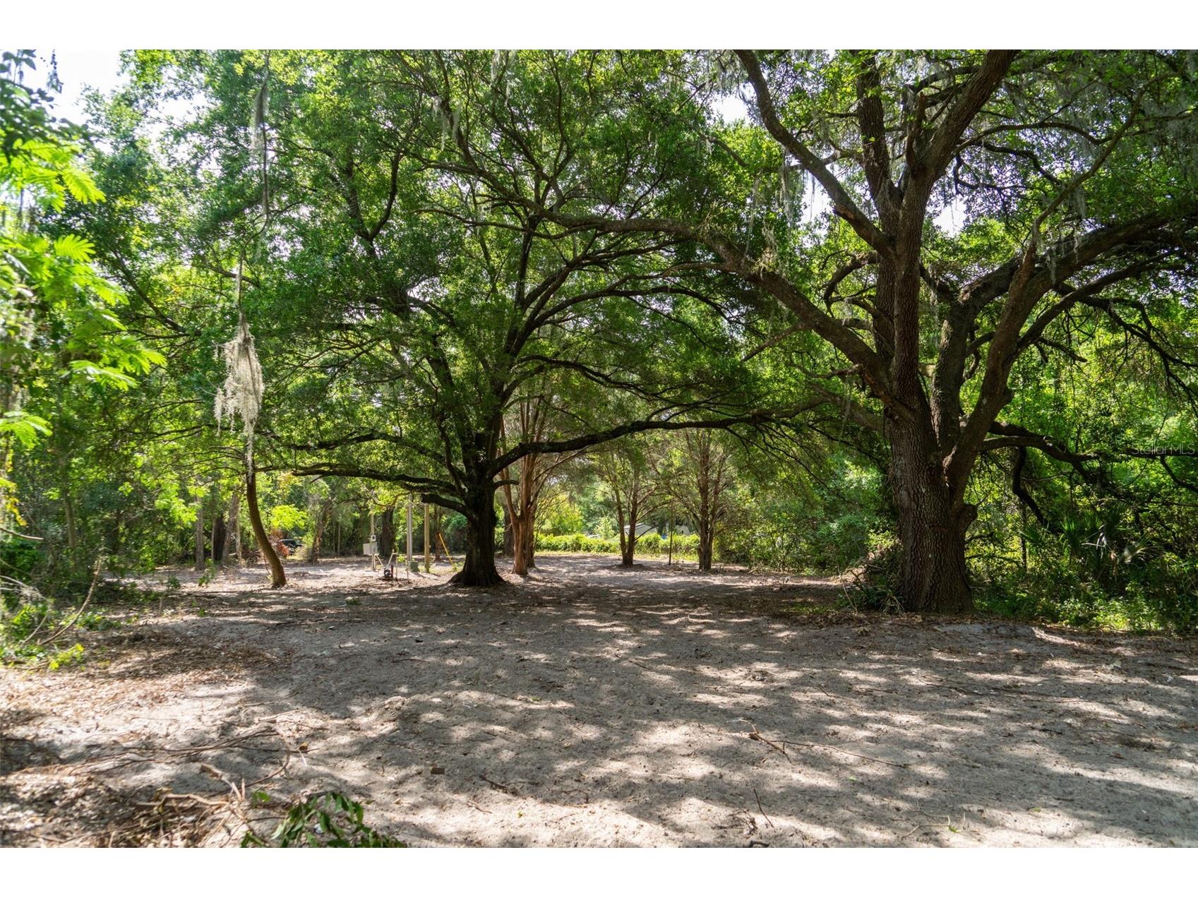 3482 County Road 507 Wildwood FL 34785 OM723881 image10